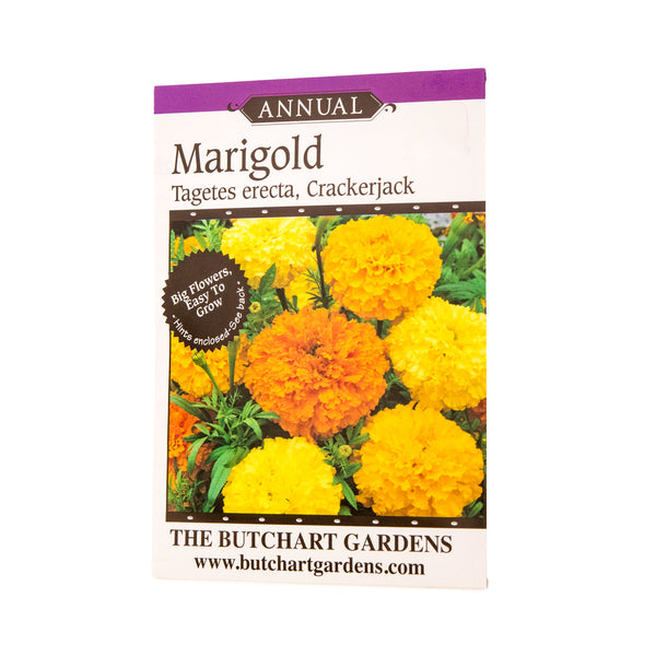 SEED MARIGOLD CRACKERJACK