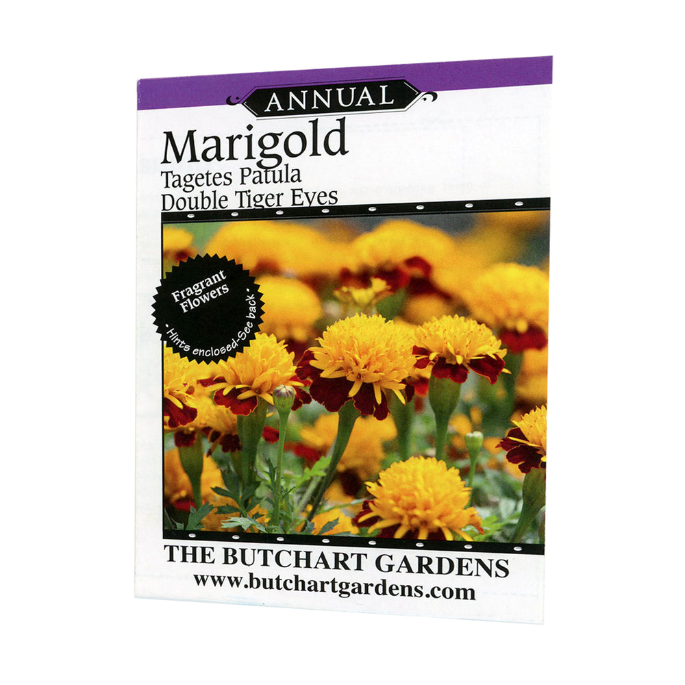 SEED MARIGOLD DOUBLE TIGER EYE