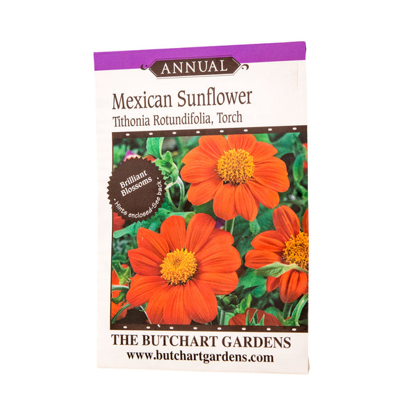 SEED MEXICAN SUNFLOWER