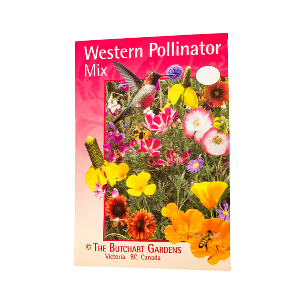 SEED MIX WESTERN POLLINATOR