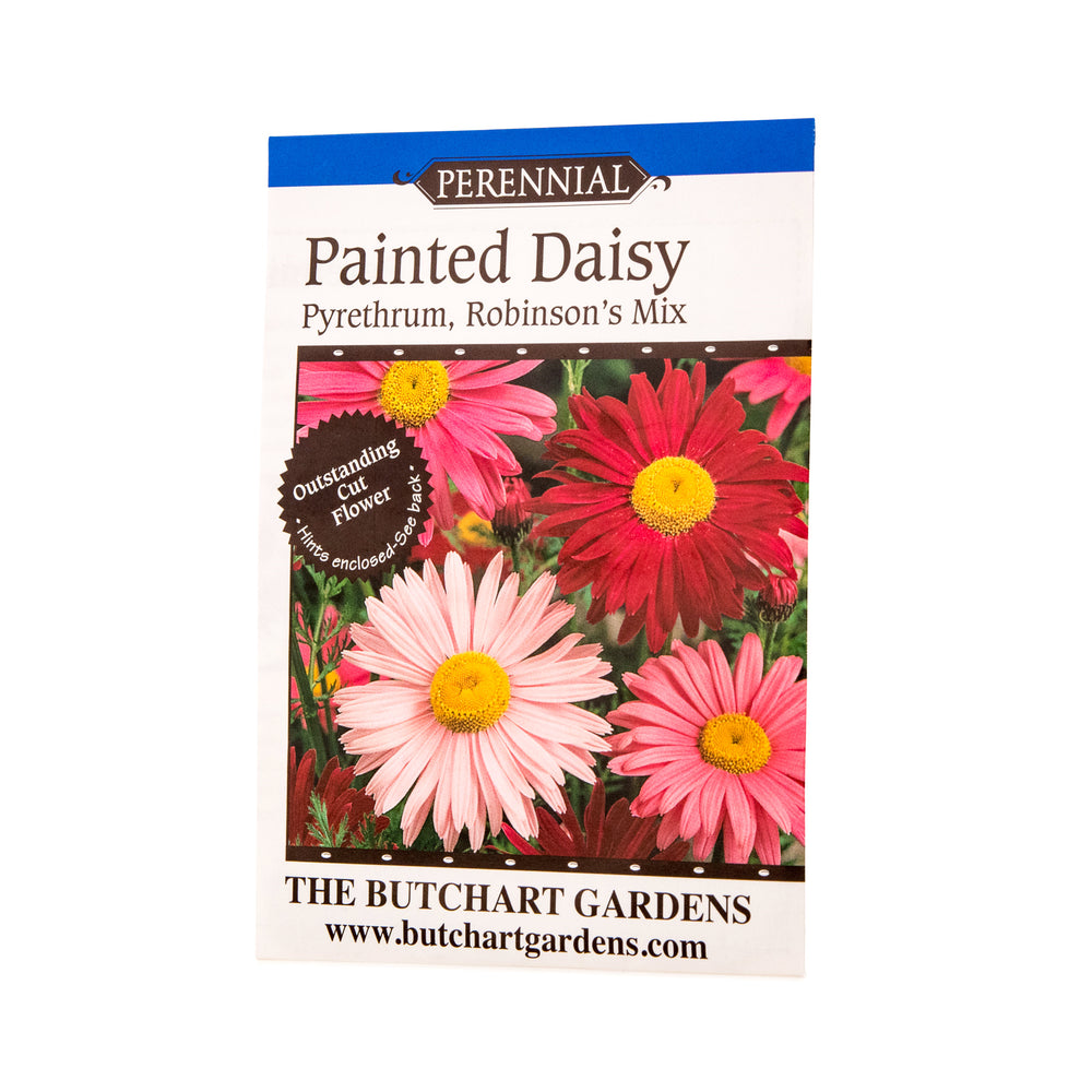 SEED PAINTED DAISY