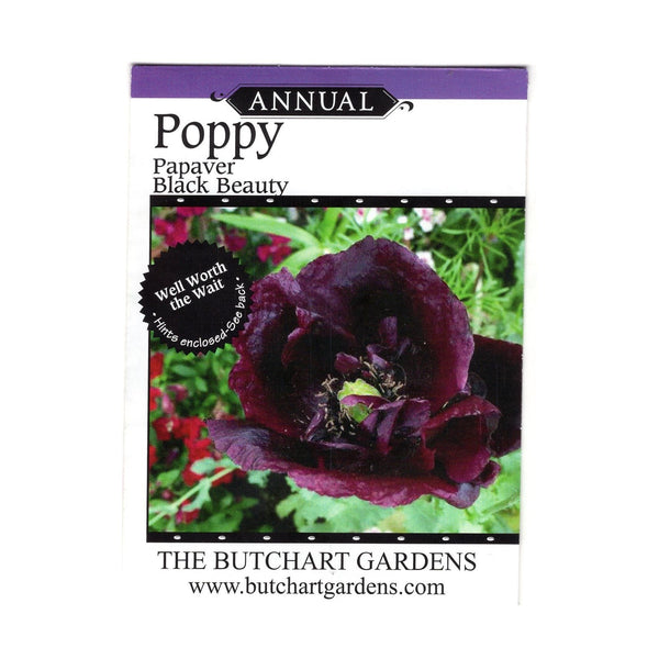 SEED POPPY PEONY BLACK BEAUTY