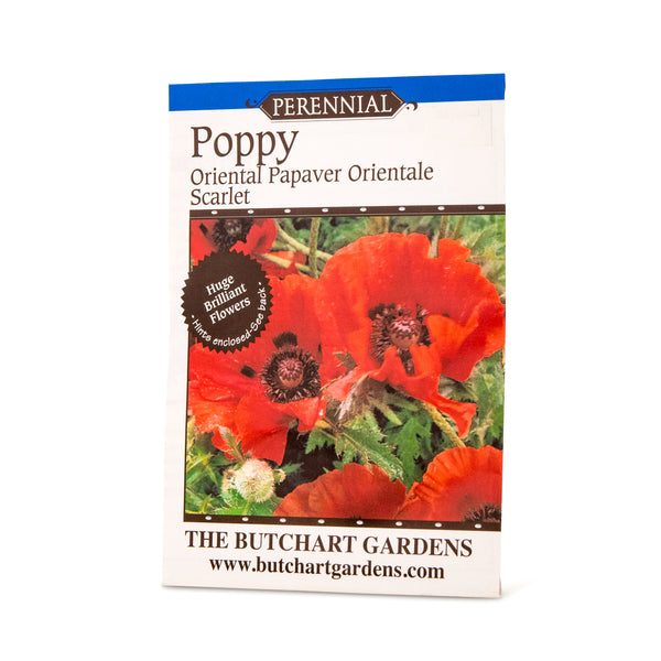 SEED POPPY ORIENTAL SCARLET