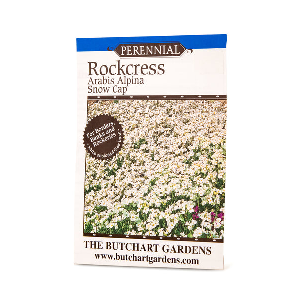 SEED ROCKCRESS