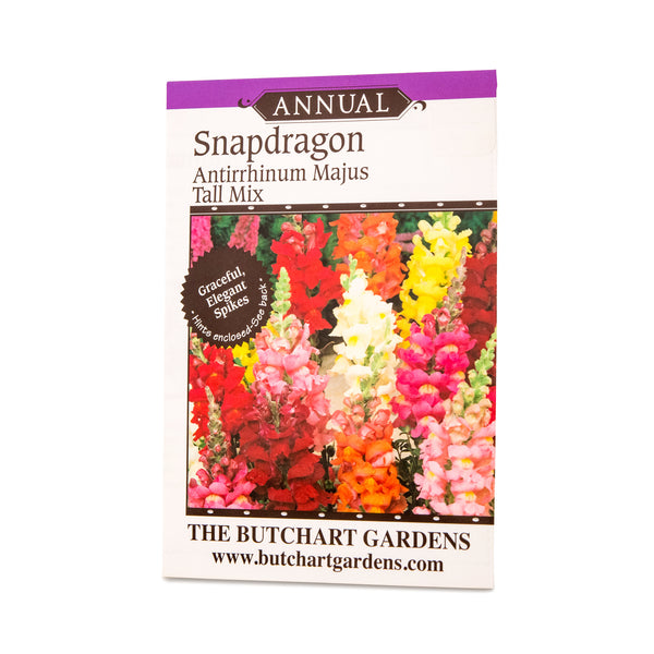 SEED SNAPDRAGON TALL