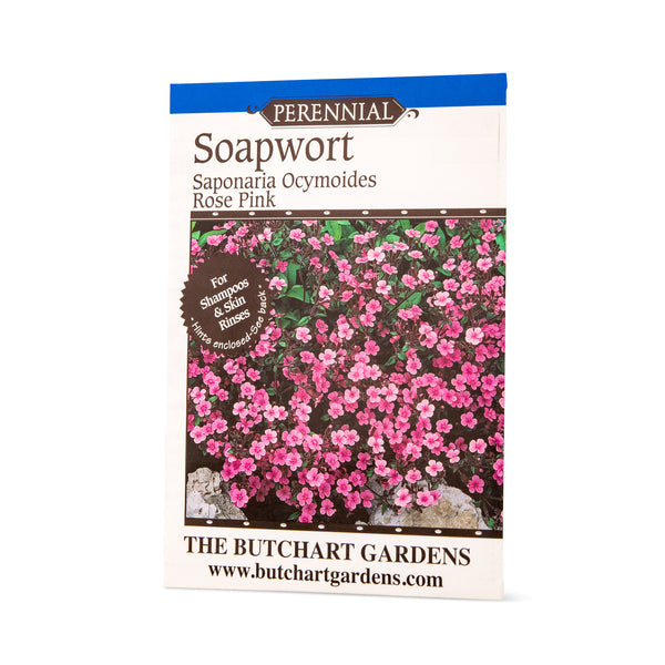 SEED SOAPWORT