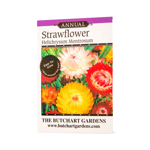 SEED STRAWFLOWER