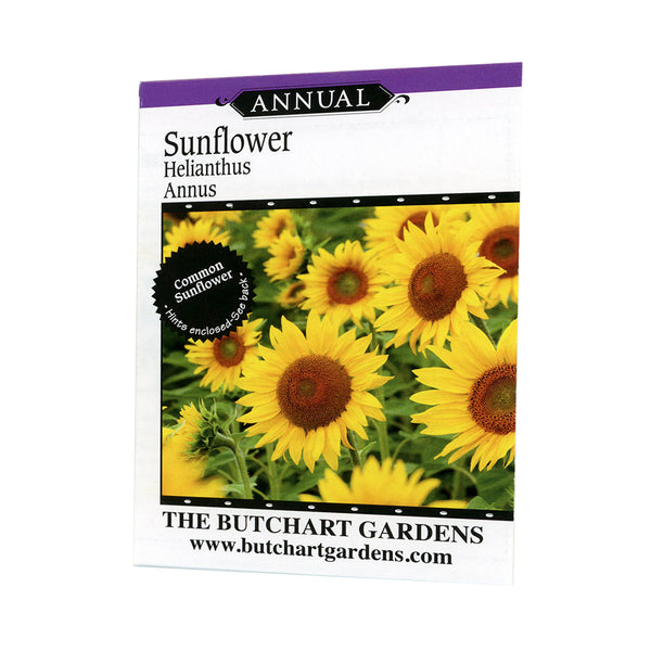 SEED SUNFLOWER HELIANTHUS ANNU