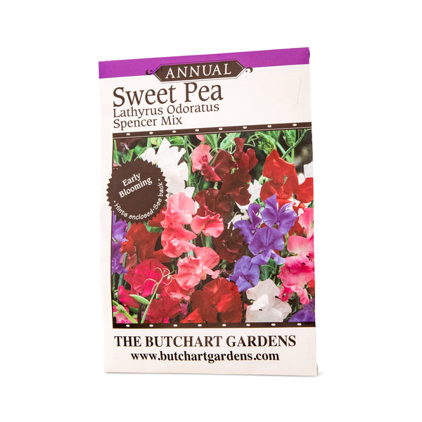 SEED SWEET PEA