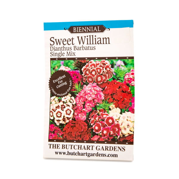 SEED SWEET WILLIAM