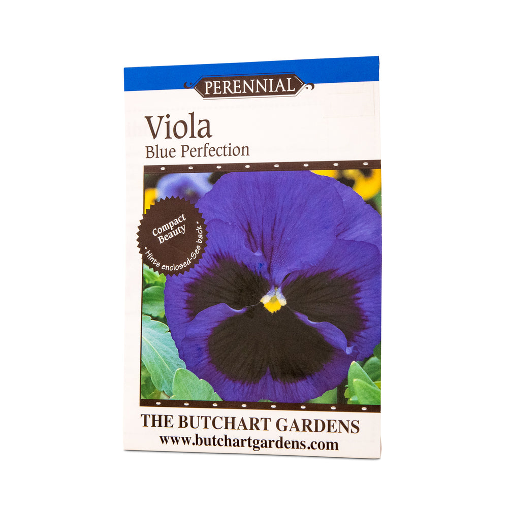 SEED VIOLA BLUE PERFECTION