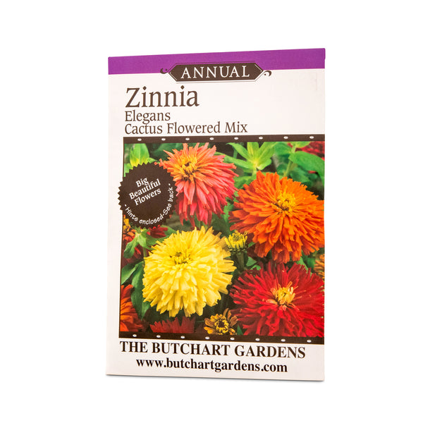 SEED ZINNIA CACTUS