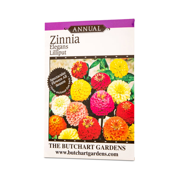 SEED ZINNIA LILLIPUT MIX