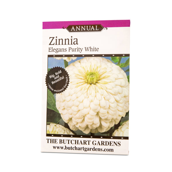 SEED ZINNIA PURITY WHITE