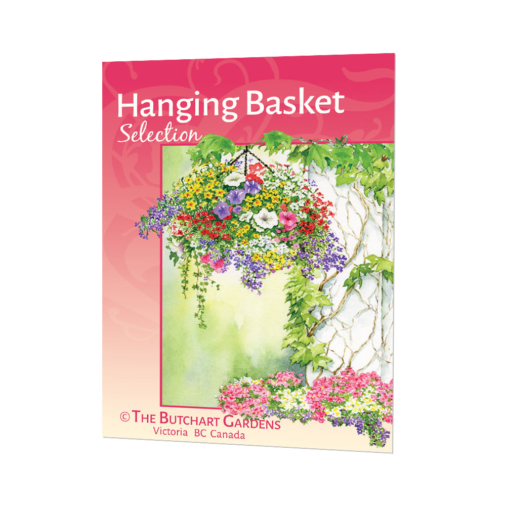 SEED HANGING BASKET – The Butchart Gardens Seed & Gift Store