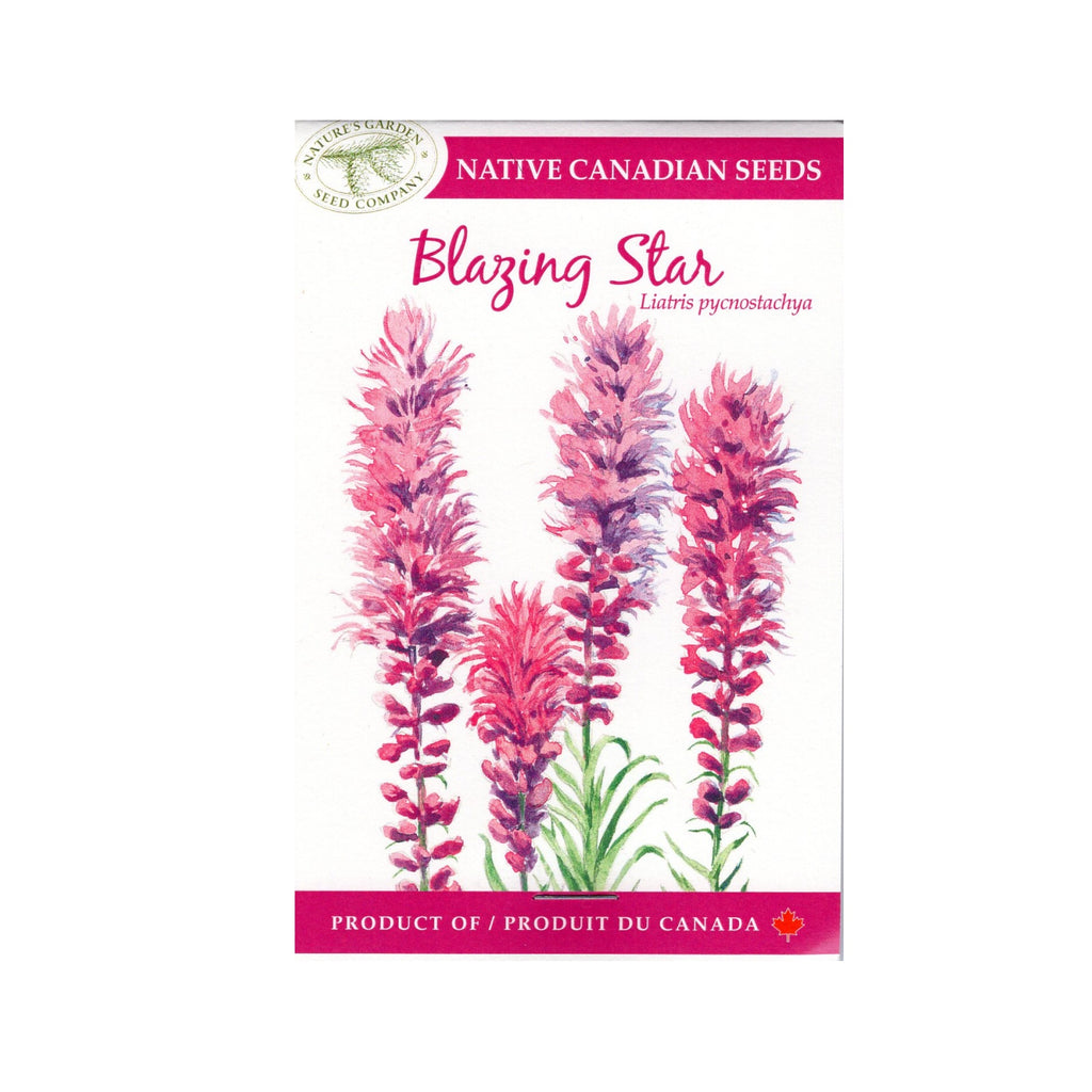 blazing star wildflower seed company SEEDS BLAZING STAR – The Butchart Gardens Seed & Gift Store