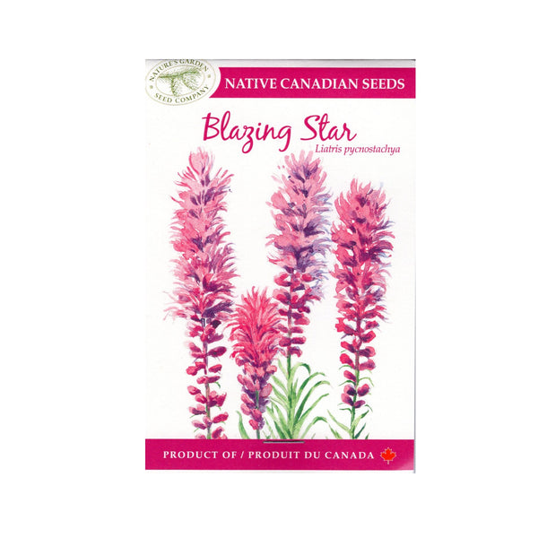 SEEDS BLAZING STAR