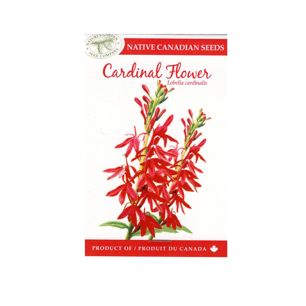 SEEDS CARDINAL FLOWER – The Butchart Gardens Seed & Gift Store