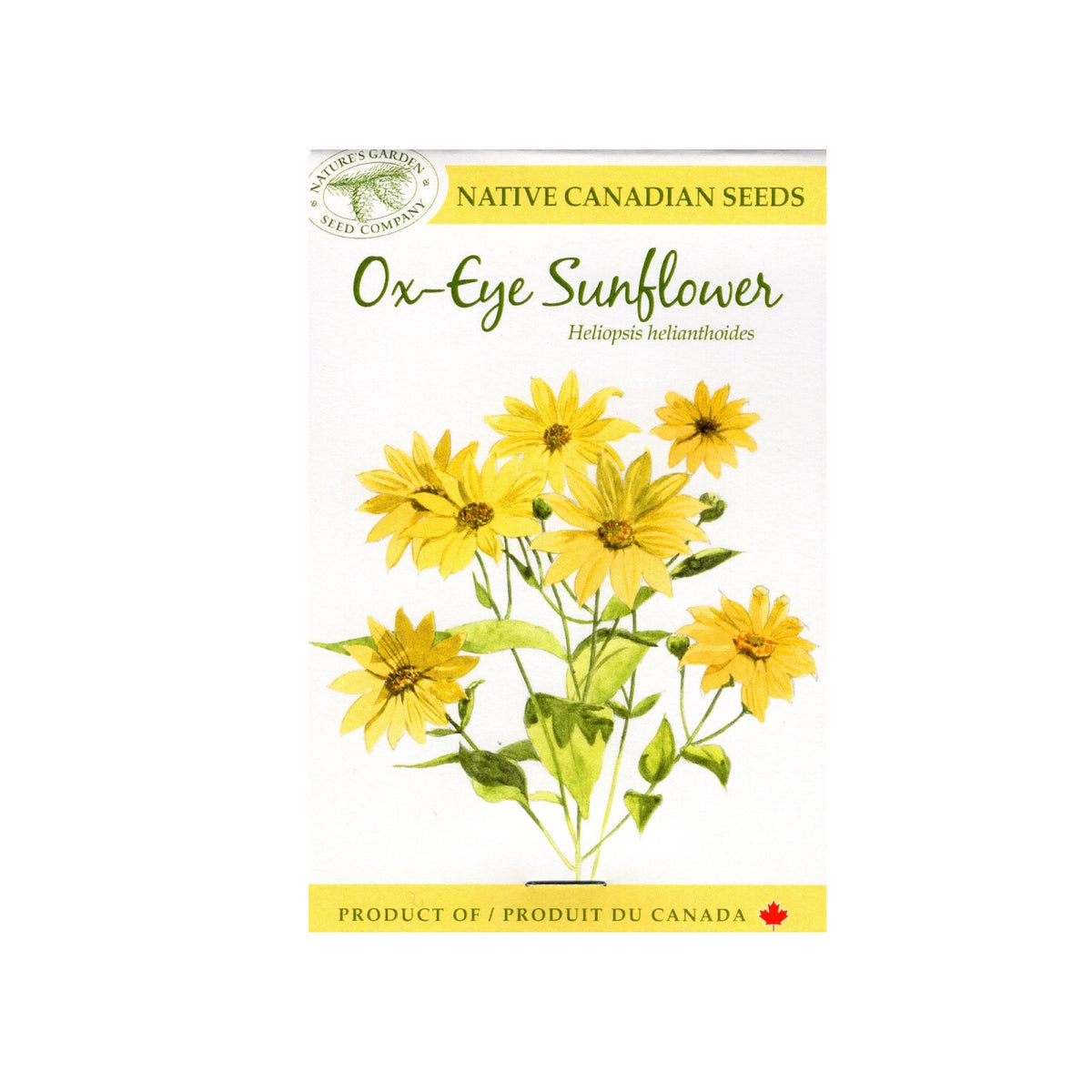 SEEDS OX EYE SUNFLOWER