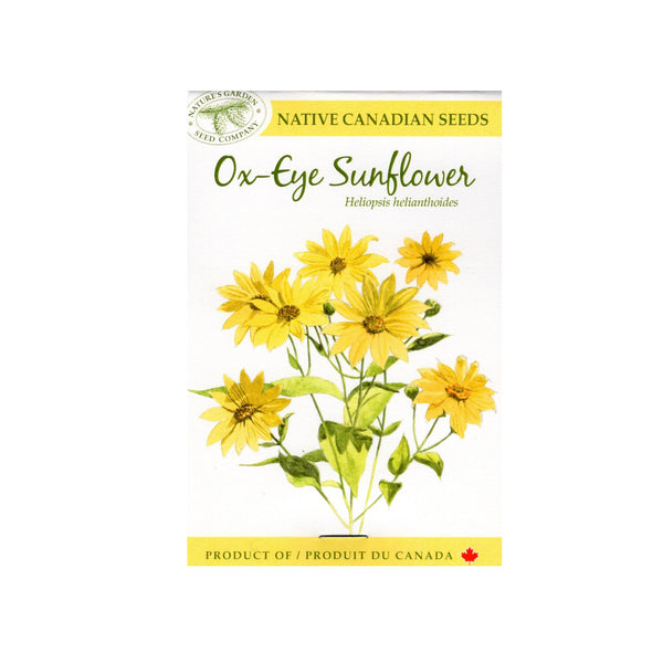 SEEDS OX EYE SUNFLOWER