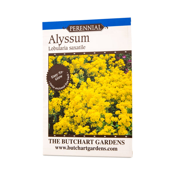SEED ALYSSUM SAXATILE