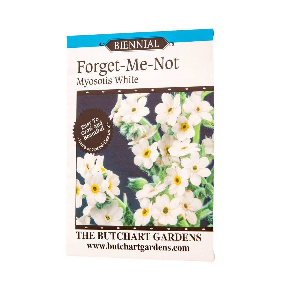 SEED FORGET ME NOT WHITE