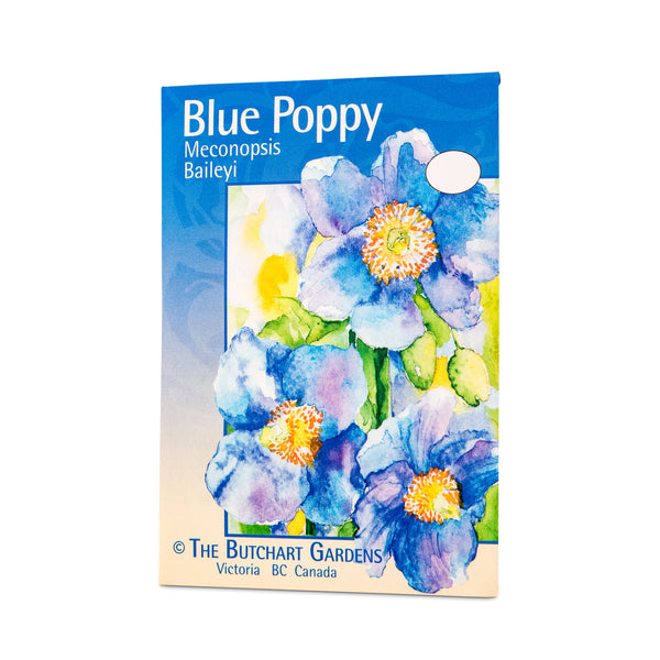 SEED POPPY BLUE MECONOPSIS