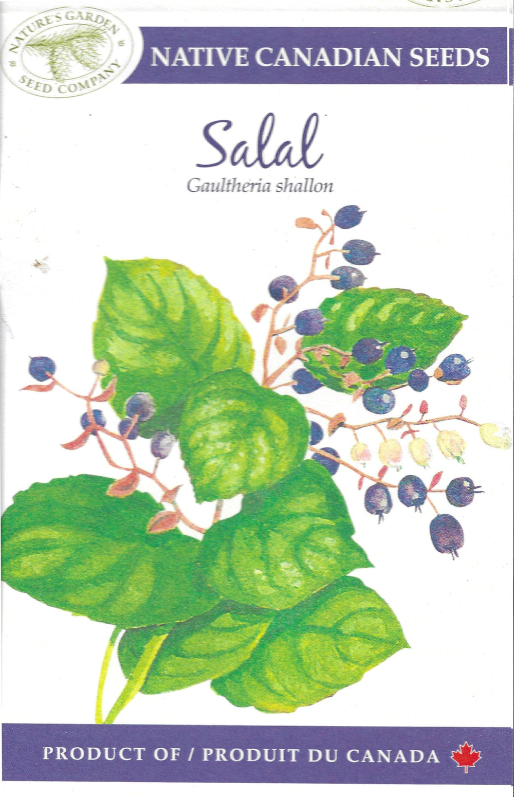 SEEDS SALAL