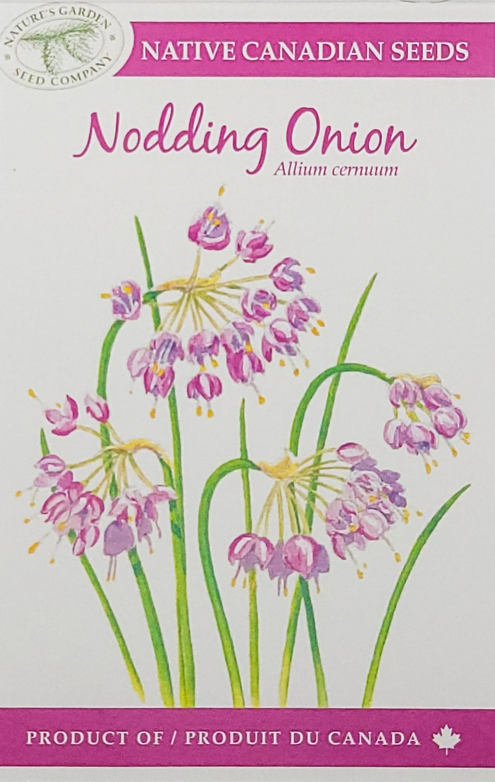 SEEDS NODDING ONION