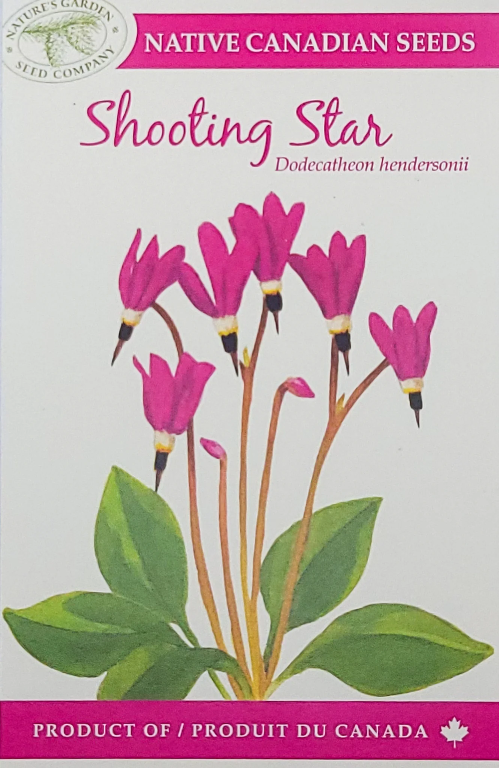 SEEDS SHOOTING STAR