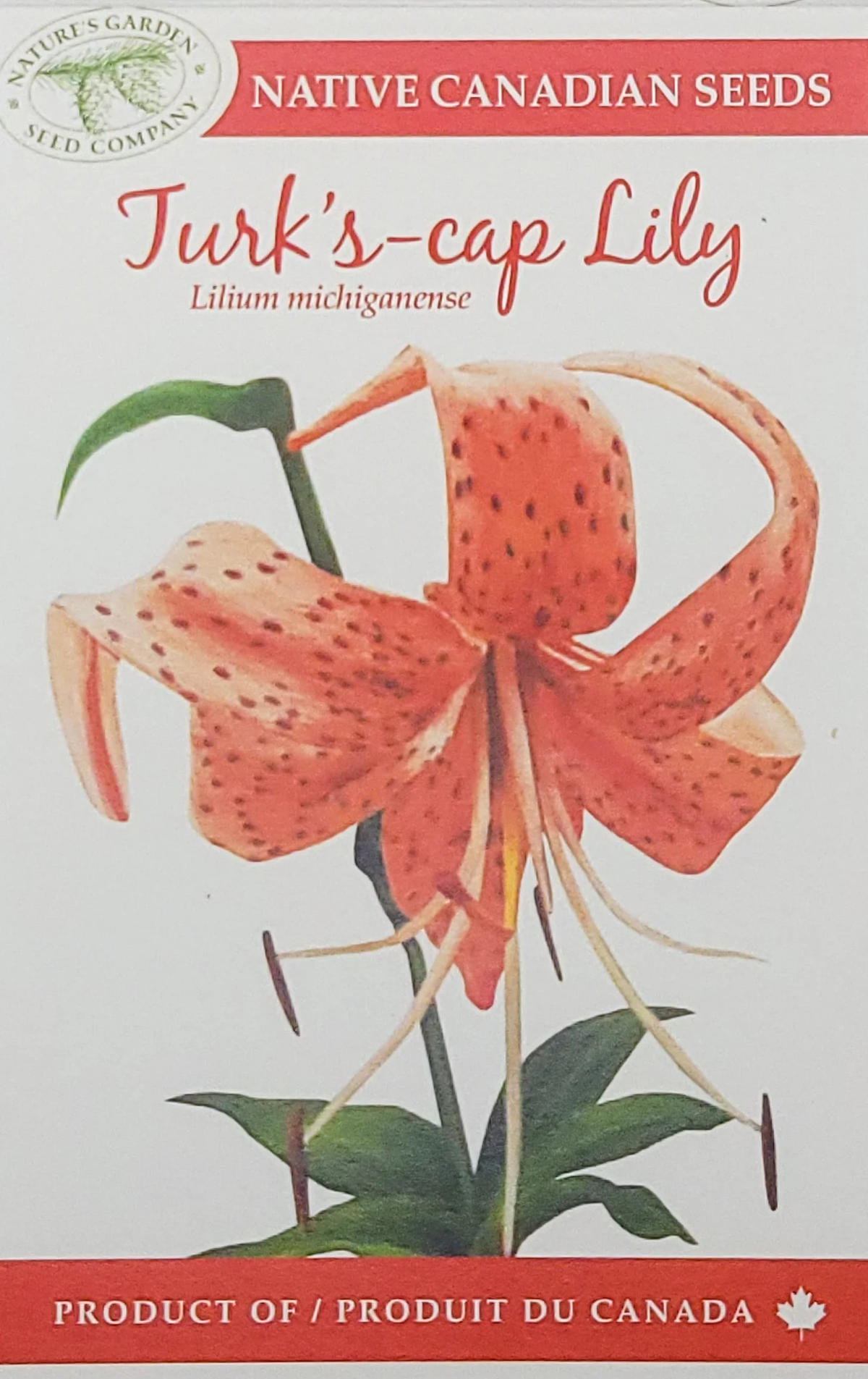 SEEEDS TURK'S CAP LILY