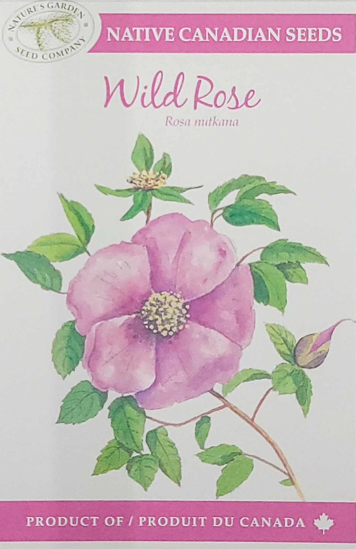 SEEDS WILD ROSE