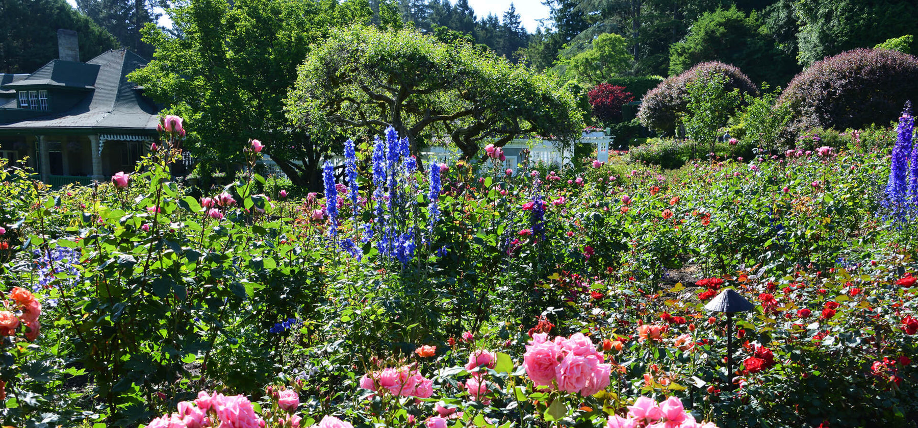 The Butchart Gardens Online Gift Store – The Butchart Gardens Seed ...