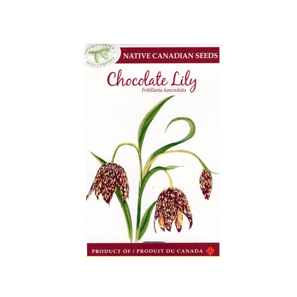 ~ CHOCOLATE LILY